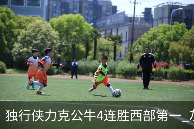 独行侠力克公牛4连胜西部第一 灰熊惨遭5连败